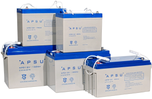 APSU NPD